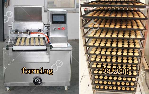 The Industrial Processing Flow of Cookie Biscuits