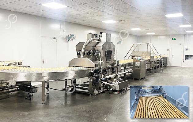 Trustworthy Biscuit Production Line Manufacturer GELGOOG