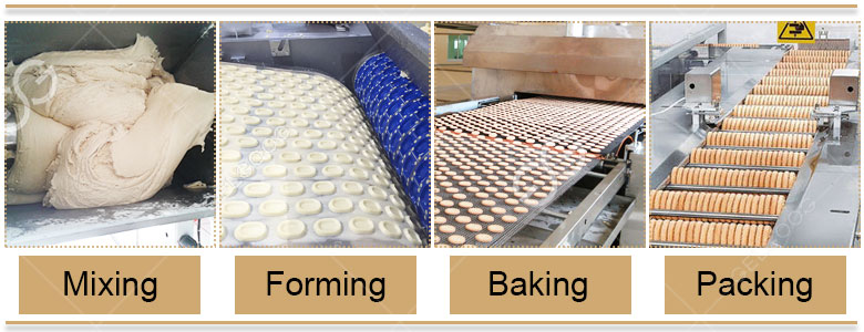 Biscuit Production Line