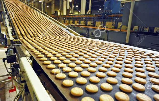 Biscuit Production Line Development