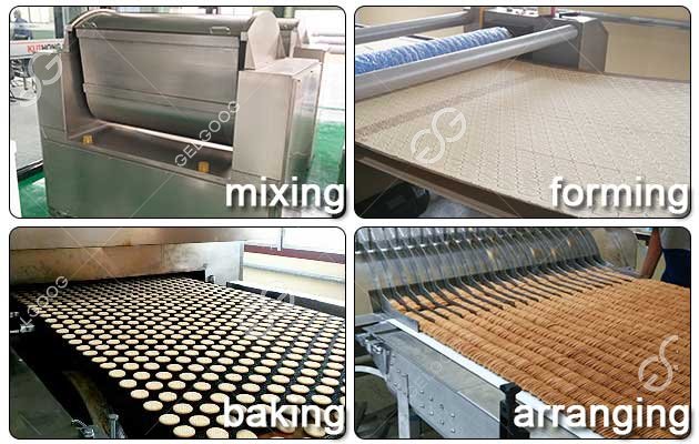 Biscuit Processing Machinery