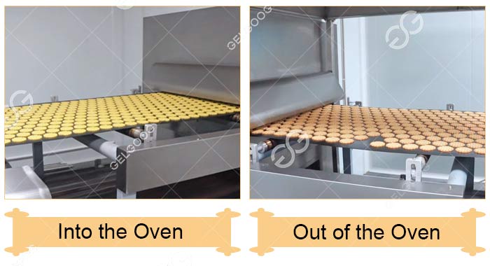 Biscuit Line - Baking Oven