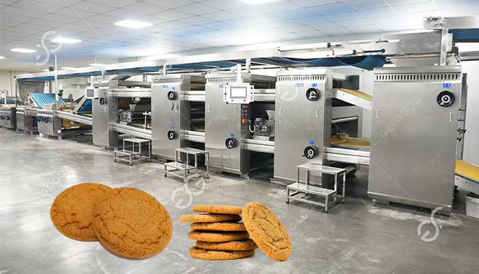 Automatic Ginger Snap Processing Line