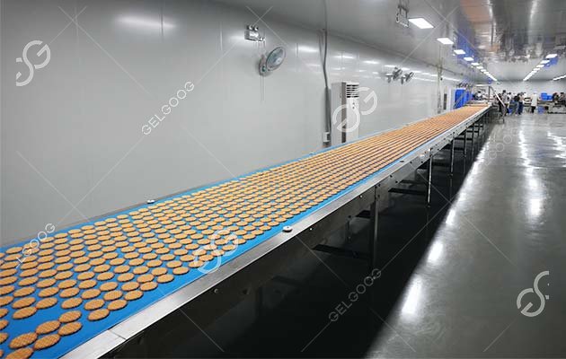 Automatic Machine for Biscuit Industry