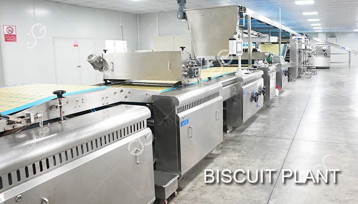 Automatic Biscuit Manufacturing Plant