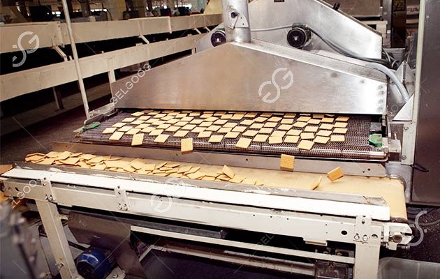 How Are Biscuit Processed in Factory