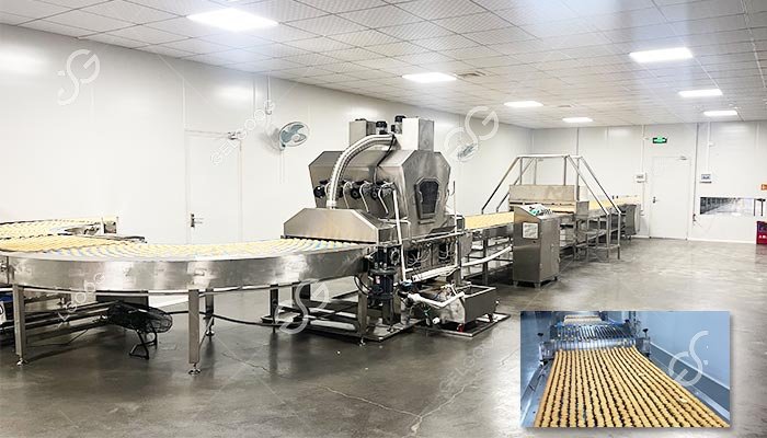 Biscuit Processing Line Manufacturer