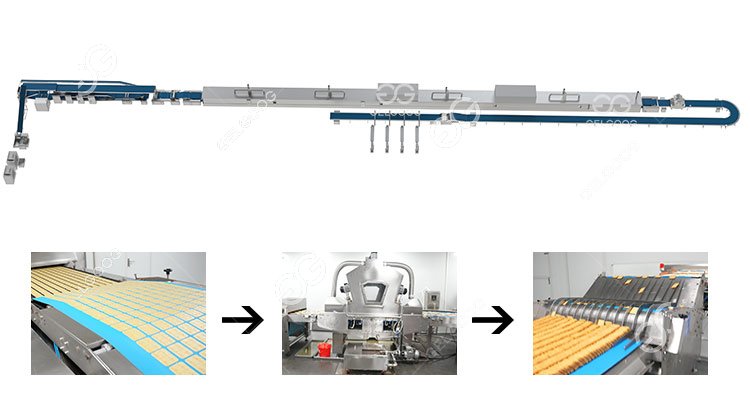 Biscuit Processing Line Manufacturer